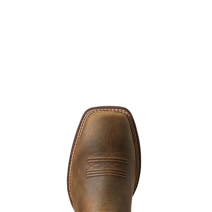 Footwear Ariat Men Brander Western Boot Bear Brown Z8NF183 [Z8NF183 ...